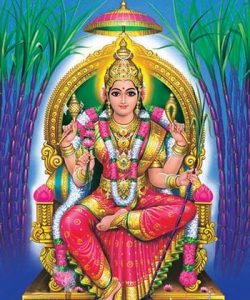 Tripura Sundari Homam