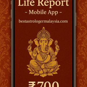 Life Horoscope Report App with Dasha & Transit Charts