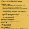 Satru Dosha Nivarana Pooja Booking | Best Astrologer Malaysia