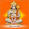 Hanuman Pooja Booking – Vedic Tantrik Mantrik Prayers