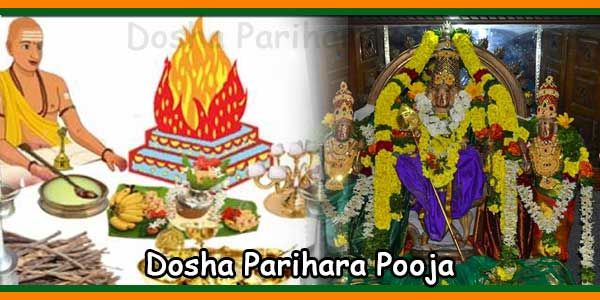 Sarva Dosha Parihara Pooja Booking