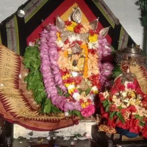 Sarvadosha Pooja Booking | Best Vedic Astrologer Malaysia