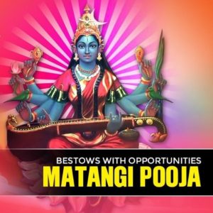Matangi Pooja Booking | Vedic Tantrik Mantrik Services Malaysia