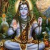 Lord Shiva